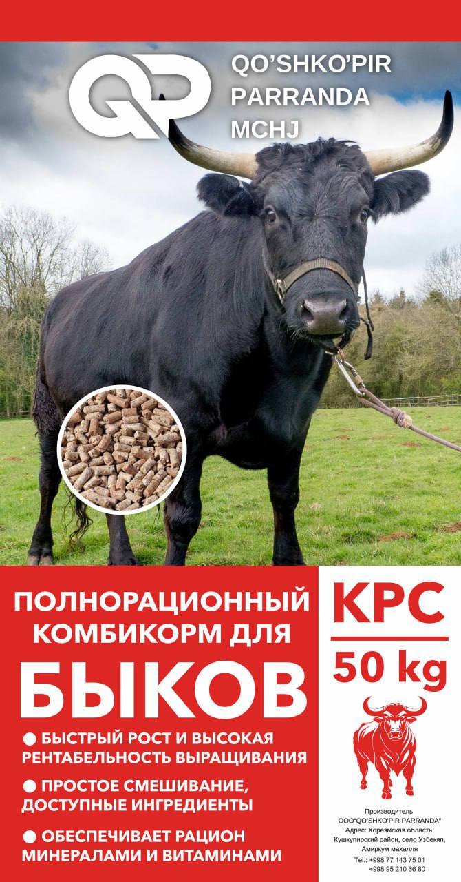 Buqalar uchun