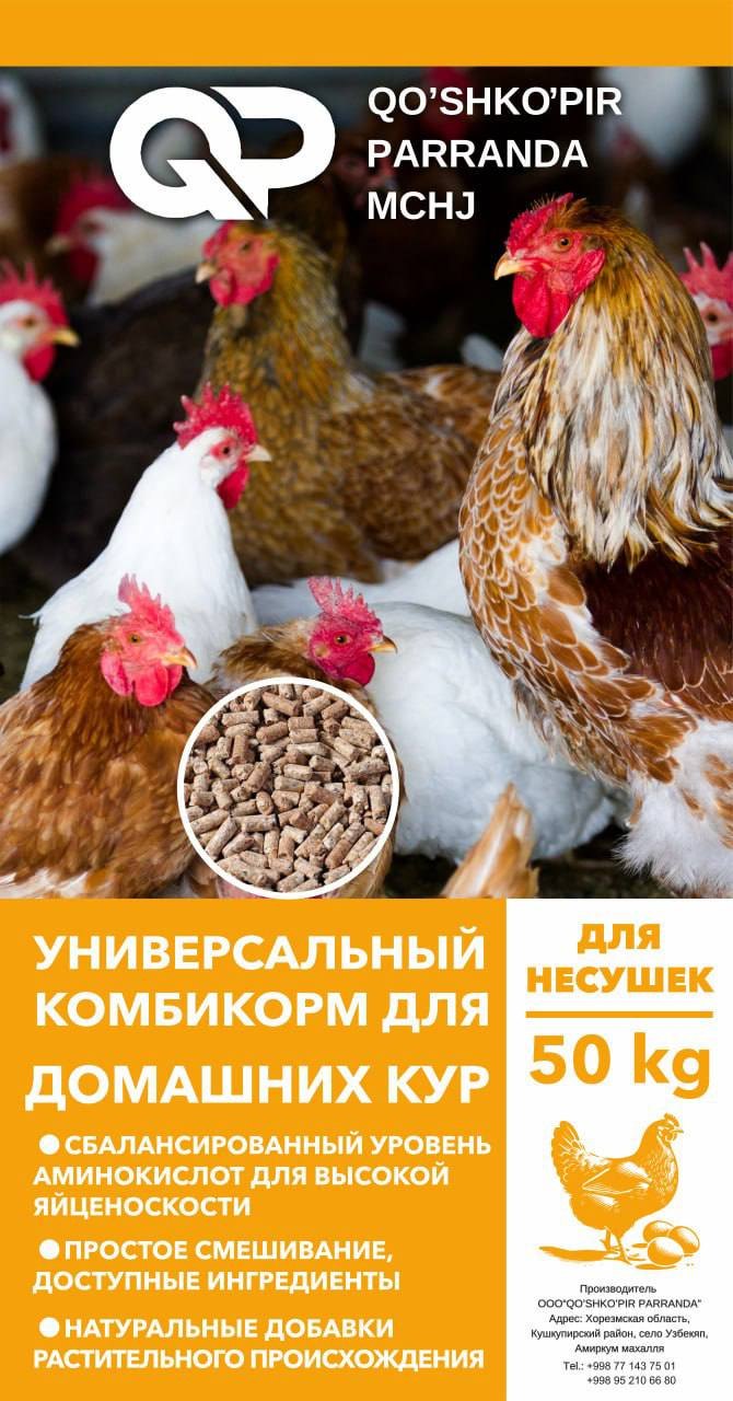 Tuxum qo'yuvchi tovuqlar