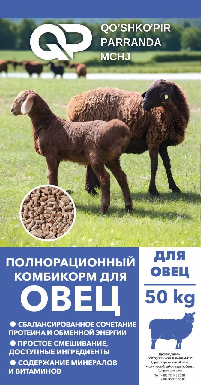 Qo'ylar uchun